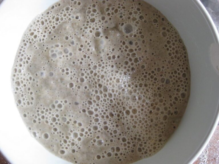 How do I know when my sourdough starter is ready to use? Bread Angels